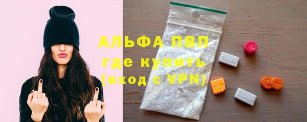 молекула духа Новодвинск