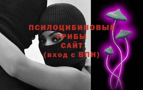 молекула духа Новодвинск
