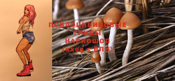 mix Новокубанск