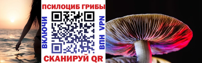 Псилоцибиновые грибы Magic Shrooms  Калачинск 